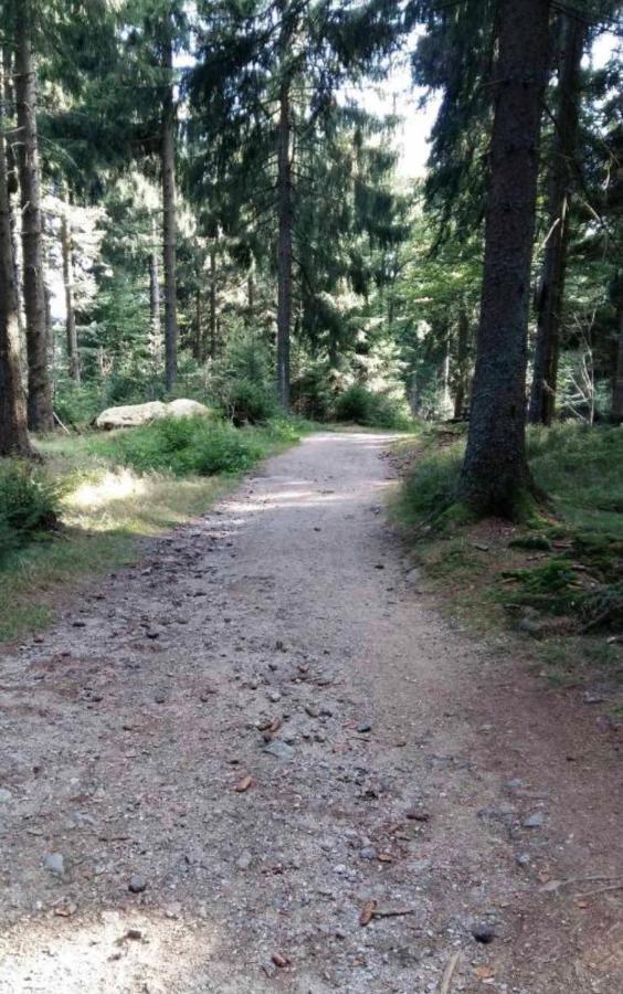Bergerlebnis Natur Pur Санкт-Энгльмар Экстерьер фото